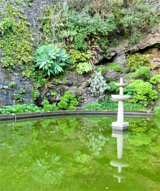 Verdant Reflections